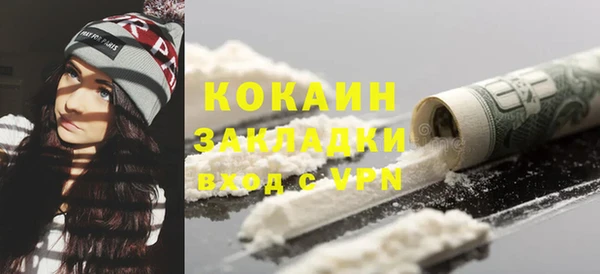 индика Белокуриха