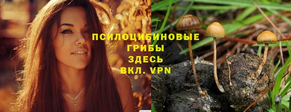 ГАЛЛЮЦИНОГЕННЫЕ ГРИБЫ Баксан