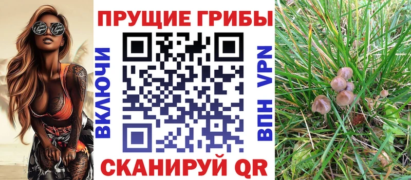 Псилоцибиновые грибы ЛСД  Кущёвская 
